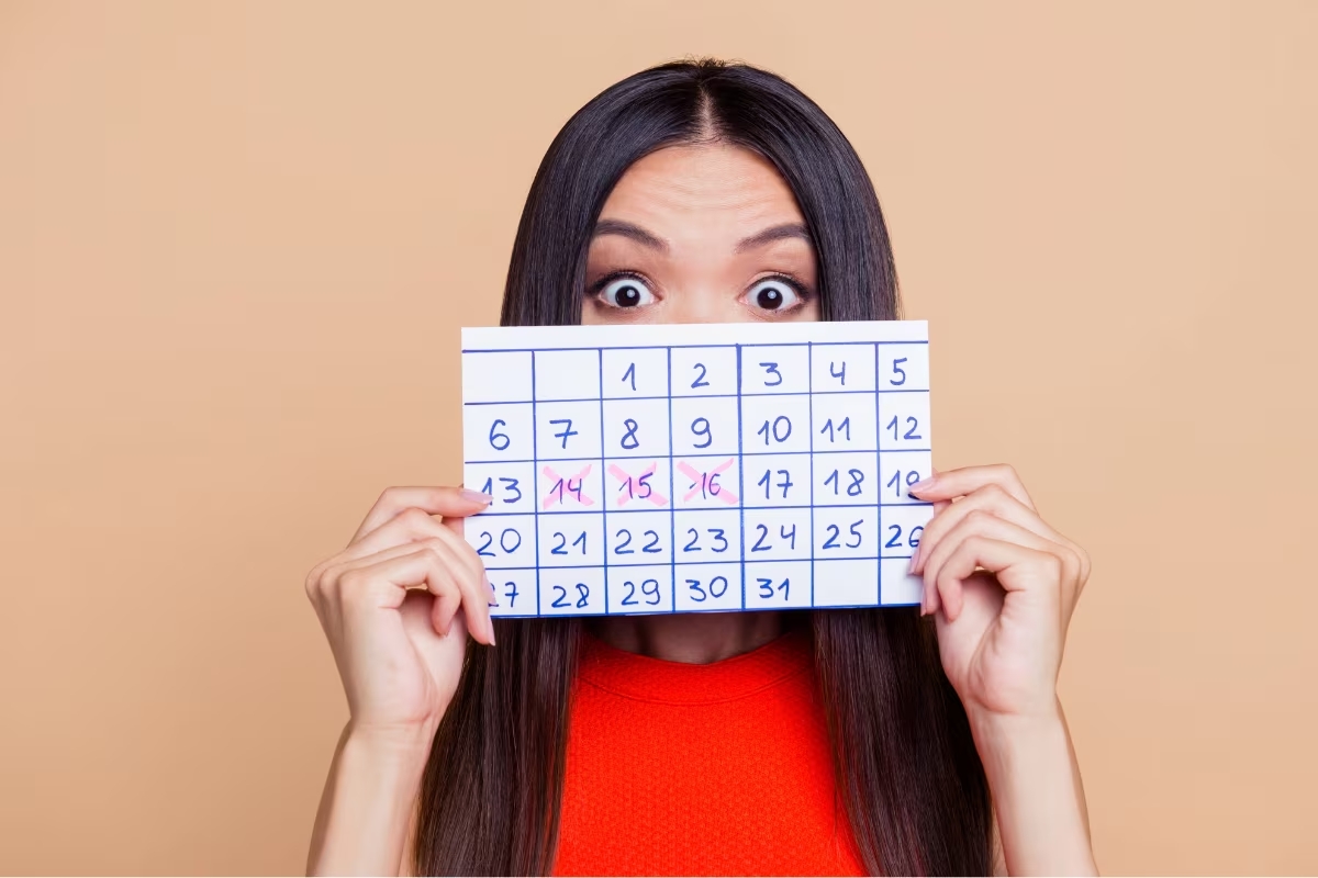 Calendário INSS Julho 2026: Datas de Pagamento por Benefício e NIS